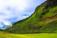 5g视频年龄大象-5G时代下的视频革命，大象的年龄之谜
