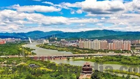 成人中文亚洲在线视频-成人中文在线视频的多元视角与影响
