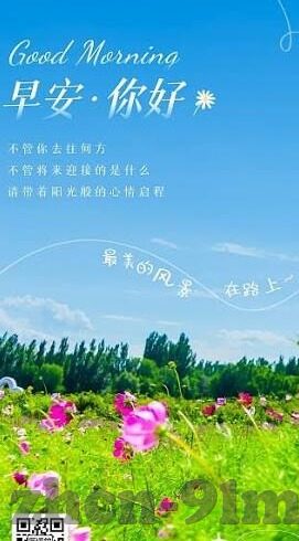 大象传媒地址-探寻大象传媒的足迹，揭秘其独特魅力与地理位置
