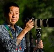 大象传媒短视频app官方-大象传媒短视频APP，重塑娱乐新体验的官方平台