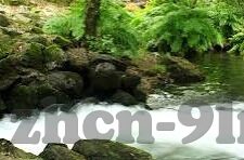 麻豆福利视频网-躺平的瞬间，探索麻豆福利视频网背后的真相