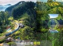 麻豆网av-网络时代的信息治理，麻豆网AV现象的冷思考