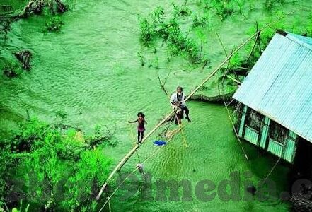 免费成人性视频-成人性视频，网络时代的灰色地带与伦理考量