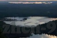糖心vlog在线观看蜘蛛-网罗精彩，探索糖心Vlog在线观影中隐藏的奇妙蛛丝马迹