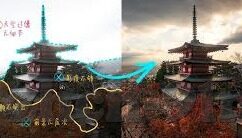 糖心原创app-为你揭秘，糖心原创app的魅力与创造之路